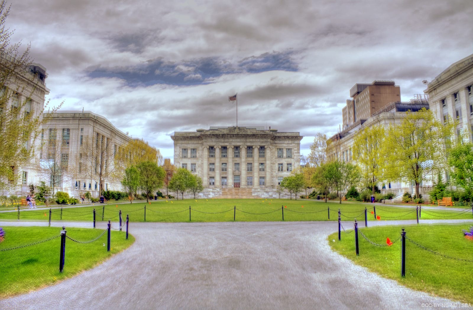 New Harvard Alzheimer’s Research : Lithium holds the secrets